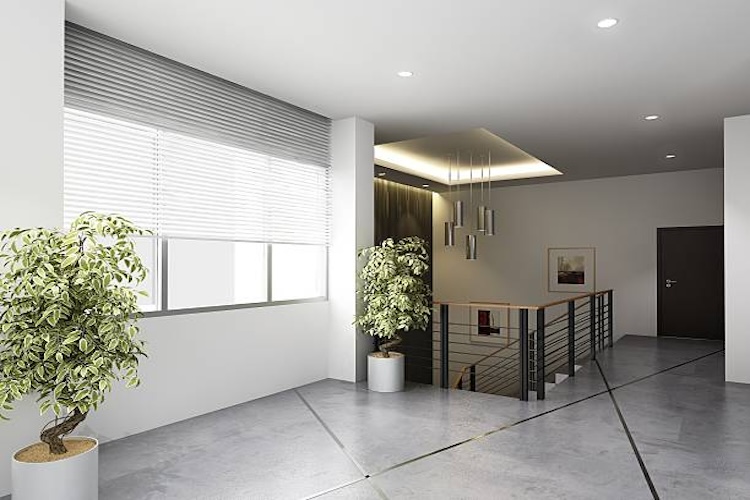estores-enrollables-elegancia-y-funcionalidad-en-tus-ventanas 1