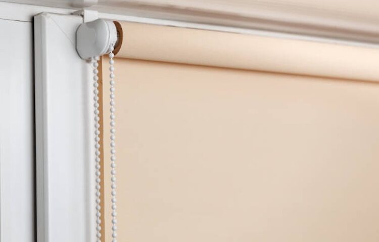 estores-enrollables-elegancia-y-funcionalidad-en-tus-ventanas 2